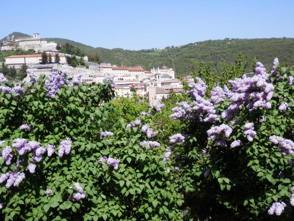 Hotel Stella